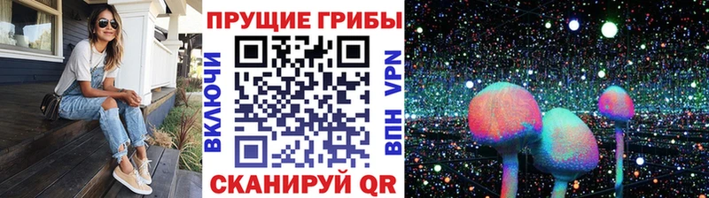 Галлюциногенные грибы GOLDEN TEACHER  Саяногорск 