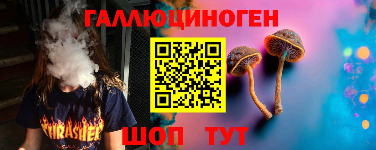Псилоцибиновые грибы MAGIC MUSHROOMS  Вход с VPN  Саяногорск 